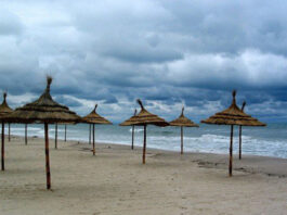 توقعات الطقس في تونس الإثنين 27 أكتوبر: أمطار رعدية