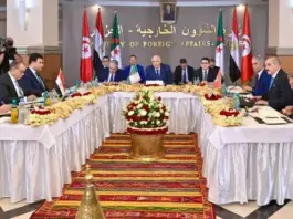 تونس والجزائر ومصر يرفضون التدخل في ليبيا: بيان مشترك من آلية الجوار