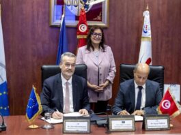 تونس محور الطاقة المتجددة في قمة أفريقيا أوروبا 2025