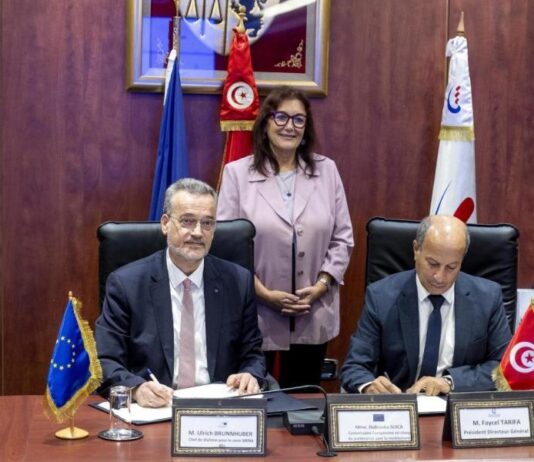 تونس محور الطاقة المتجددة في قمة أفريقيا أوروبا 2025