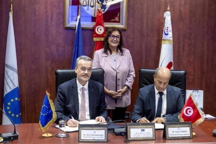 تونس محور الطاقة المتجددة في قمة أفريقيا أوروبا 2025