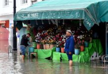 تونس ثاني أكبر مستهلك للمكرونة في العالم 17 كجم سنويا