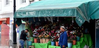 تونس ثاني أكبر مستهلك للمكرونة في العالم 17 كجم سنويا