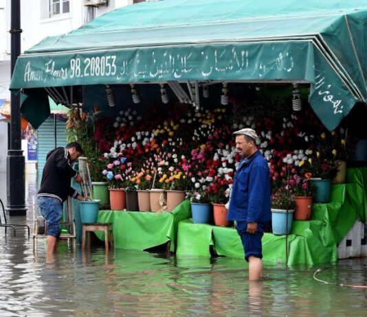 تونس ثاني أكبر مستهلك للمكرونة في العالم 17 كجم سنويا