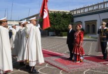 الرئيس سعيد يستقبل 5 سفراء جدد في قرطاج: تعزيز الشراكات مع أفريقيا وآسيا سعيد يستقبل 5 سفراء جدد في قرطاج: غابون، جنوب أفريقيا، فلسطين، كوت ديفوار، الهند