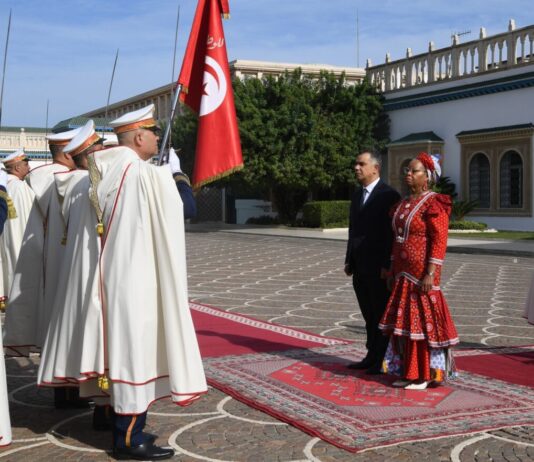 سعيد يستقبل 5 سفراء جدد في قرطاج: غابون، جنوب أفريقيا، فلسطين، كوت ديفوار، الهند