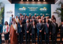 صندوق محمد السادس يقود استثمارات أفريقيا 2025