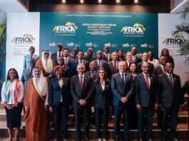 صندوق محمد السادس يقود استثمارات أفريقيا 2025