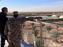 تونس-إيطاليا: شراكة تنموية للجنوب