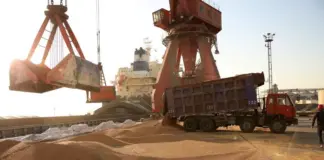 تونس تستورد 125 ألف طن شعير علفي عاجل