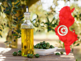 زيت زيتون تونسي يفتن توركال التركية