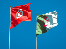 الناصري يستقبل وفداً برلمانياً جزائرياً ويؤكد عمق الروابط الثنائية