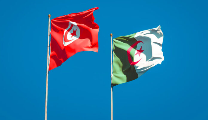 tunisie-algerie الناصري يستقبل وفداً برلمانياً جزائرياً ويؤكد عمق الروابط الثنائية