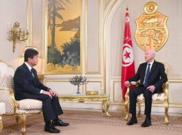 قيس سعيّد يستقبل سفير اليابان: 70 عامًا من الشراكة ومشاريع مستقبلية واعدة