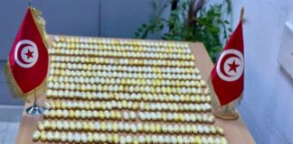 ضبط 627 كبسولة كوكايين في مطار تونس قرطاج