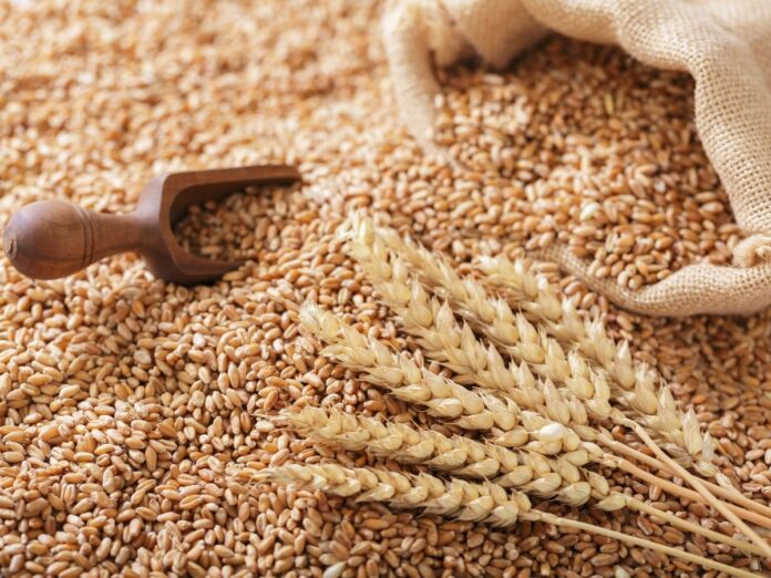 تونس تطلق مناقصة لشراء 350 ألف طن حبوب!