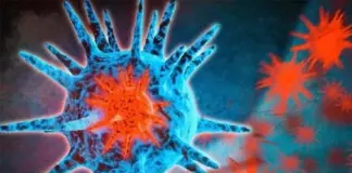 إنفلونزا جديدة تهدد تونس: متغير K ينتشر بسرعة!