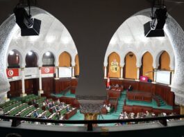 قانون المالية 2026: مصادقة على إعفاء معلوم الجولان ودعم الطاقة المتجددة