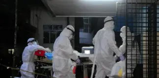 فيروس نيباه يعود في الهند.. 5 إصابات مؤكدة بكلكتا ووفيات تصل 80%