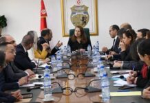 الاتحاد الأوروبي يمنح تونس 35.8 مليون يورو للطاقة المتجددة