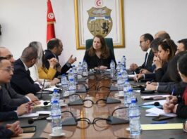 الاتحاد الأوروبي يمنح تونس 35.8 مليون يورو للطاقة المتجددة