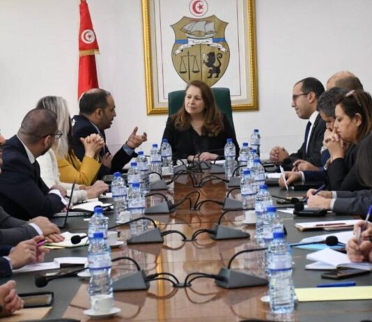 الاتحاد الأوروبي يمنح تونس 35.8 مليون يورو للطاقة المتجددة