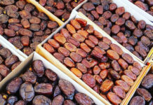 تمور تونس تحقق إنتاجاً استثنائياً: قرابة 400 ألف طن في موسم 2025 مع جودة عالية تمور تونس: محصول قياسي 400 ألف طن 2025