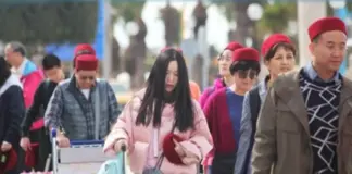 سفارة تونس بطوكيو: برنامج رحلات يابانية لاكتشاف تونس في 2026