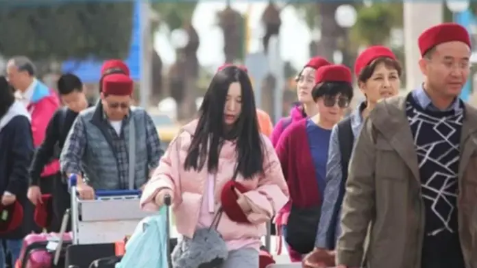 سفارة تونس بطوكيو: برنامج رحلات يابانية لاكتشاف تونس في 2026