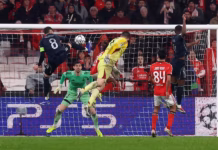 نتائج الجولة 8 بدوري أبطال أوروبا: بنفيكا يُسقط ريال مدريد