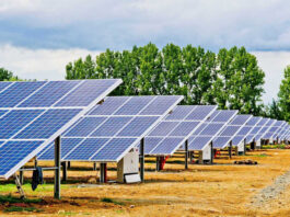 تونس تُطلق مشروع «إلمد» الشمسي 400 ميغاواط لتصدير الكهرباء إلى أوروبا