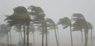 رياح 100 كم/س وأمطار رعدية غزيرة تضرب تونس اليوم والغد