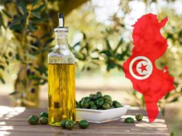 تونس ثاني منتج زيت زيتون عالمياً 2025-2026
