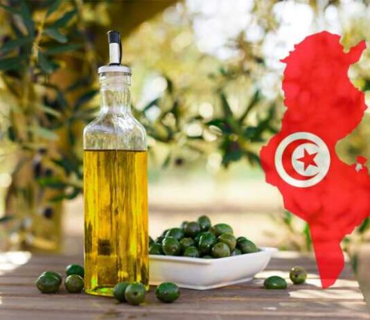 تونس ثاني منتج زيت زيتون عالمياً 2025-2026