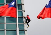 أليكس هونولد يتسلق تايبيه 101 دون أمان.. 508 متر في 91 دقيقة