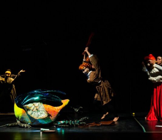 افتتاح الدورة السابعة من أيام قرطاج لفنون العرائس بمشاركة 16 دولة عربية وأجنبية
