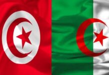 تونس والجزائر توقعان اتفاقاً لتعزيز الصيد البحري المستدام