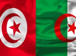 تونس والجزائر توقعان اتفاقاً لتعزيز الصيد البحري المستدام