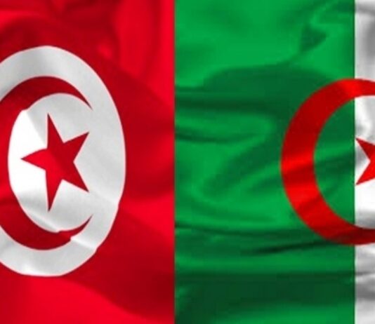 تونس والجزائر توقعان اتفاقاً لتعزيز الصيد البحري المستدام