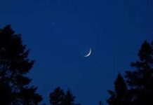 تونس تعلن عطلة رسمية لمدة ثلاثة أيام بمناسبة عيد الفطر تونس تعلن عطلة عيد الفطر 2026 لمدة ثلاثة أيام