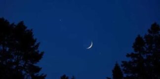 تونس تعلن عطلة عيد الفطر 2026 لمدة ثلاثة أيام