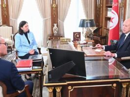 قيس سعيّد يناقش مخطط التنمية 2026-2030 بقصر قرطاج