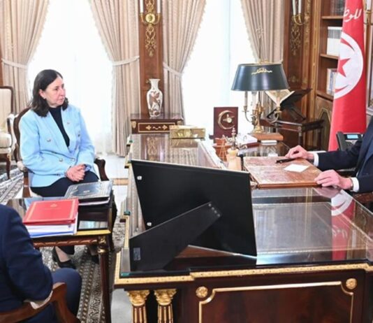 قيس سعيّد يناقش مخطط التنمية 2026-2030 بقصر قرطاج