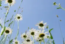 حالة الطقس اليوم: زيادة نسبية في درجات الحرارة وتوقعات بأمطار رعدية