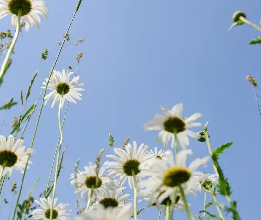 حالة الطقس اليوم: زيادة نسبية في درجات الحرارة وتوقعات بأمطار رعدية