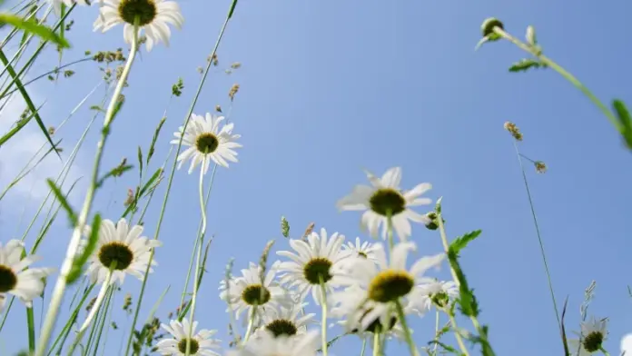 حالة الطقس اليوم: زيادة نسبية في درجات الحرارة وتوقعات بأمطار رعدية