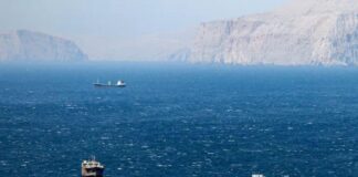 إزالة ألغام مضيق هرمز قد تستغرق 6 أشهر