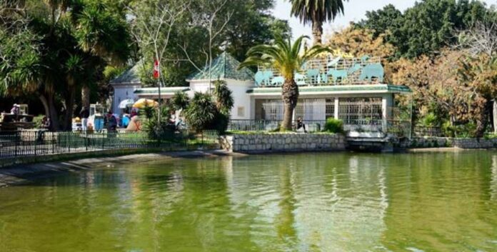 حديقة البلفيدير تفتح أبوابها يوم 30 ماي
