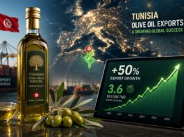 صادرات زيت الزيتون التونسي تقفز 49%