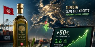 صادرات زيت الزيتون التونسي تقفز 49%